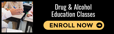Drug and Alcohol Education Classes